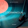 Coterminous(Original Mix)