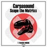 Scape the Matrixx