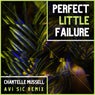 Perfect Little Failure (Avi Sic Remix)