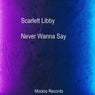 Never Wanna Say