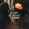 Cozy Sunday Tunes, Vol. 4 (Relaxing Downbeat & Lounge Beats For Restaurants, Bars And Hotels)