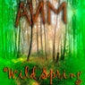 Wild Spring