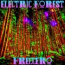 Electric Forest