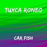 Car Fish