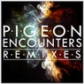 Encounters (Remixes)