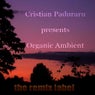 Organic Ambient (Progressive Chillout Music Album for Christmas Season)