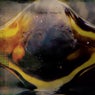 Selected Works 95-96 [Part 1]