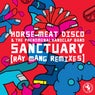 Sanctuary - Ray Mang Remixes