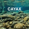 Cayax