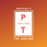 The Sublime