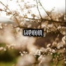 Lupakan