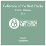 Collection of the Best Tracks From: Pashaa, Pt. 2
