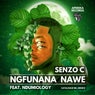 Ngfunana Nawe (feat. Ndumiology)