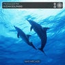 Ocean Dolphins