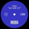 Salt Ache City