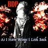 As I Have Wings I Look Back