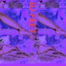 Feet, Vol. 1