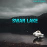 Swan Lake