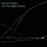 ROMAN FLÜGEL - ALL THE RIGHT NOISES