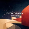Lost in the Horn