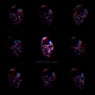 SIMPLEX EVOLUTION