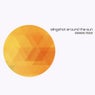 Slingshot Around the Sun