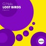Lost birds