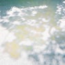 Soar