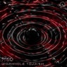 Wormhole Tourism