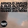 Rising into Joy - Remixed (Mannix 2020 Remix)