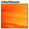 A Brief Moment