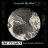 Canyon In My Mind (feat. Andrew Blackburn)