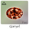 Garnet 1st Gem