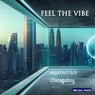 Feel the Vibe