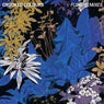 Flow (Remixes)