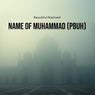 Names of Muhammad (PBUH)