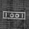 1001