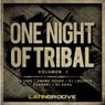 VA One Night of Tribal, Vol. 1