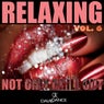 Relaxing Vol. 6 (not Only Chill Out)