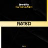 Conscious Mind