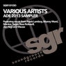 ADE 2013 Sampler