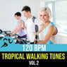 Tropical Walking Tunes Vol.2