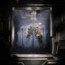 Regeneration
