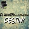 Destiny (feat. Natalie Poulli)
