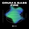 Drum & Bass Fire, Vol. 29