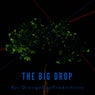 The Big Drop (Radio Edit)
