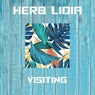 Visiting
