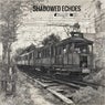 Shadowed Echoes