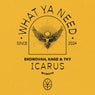 Icarus