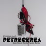 Petrecerea - Sean Norvis Electro Popular Remix